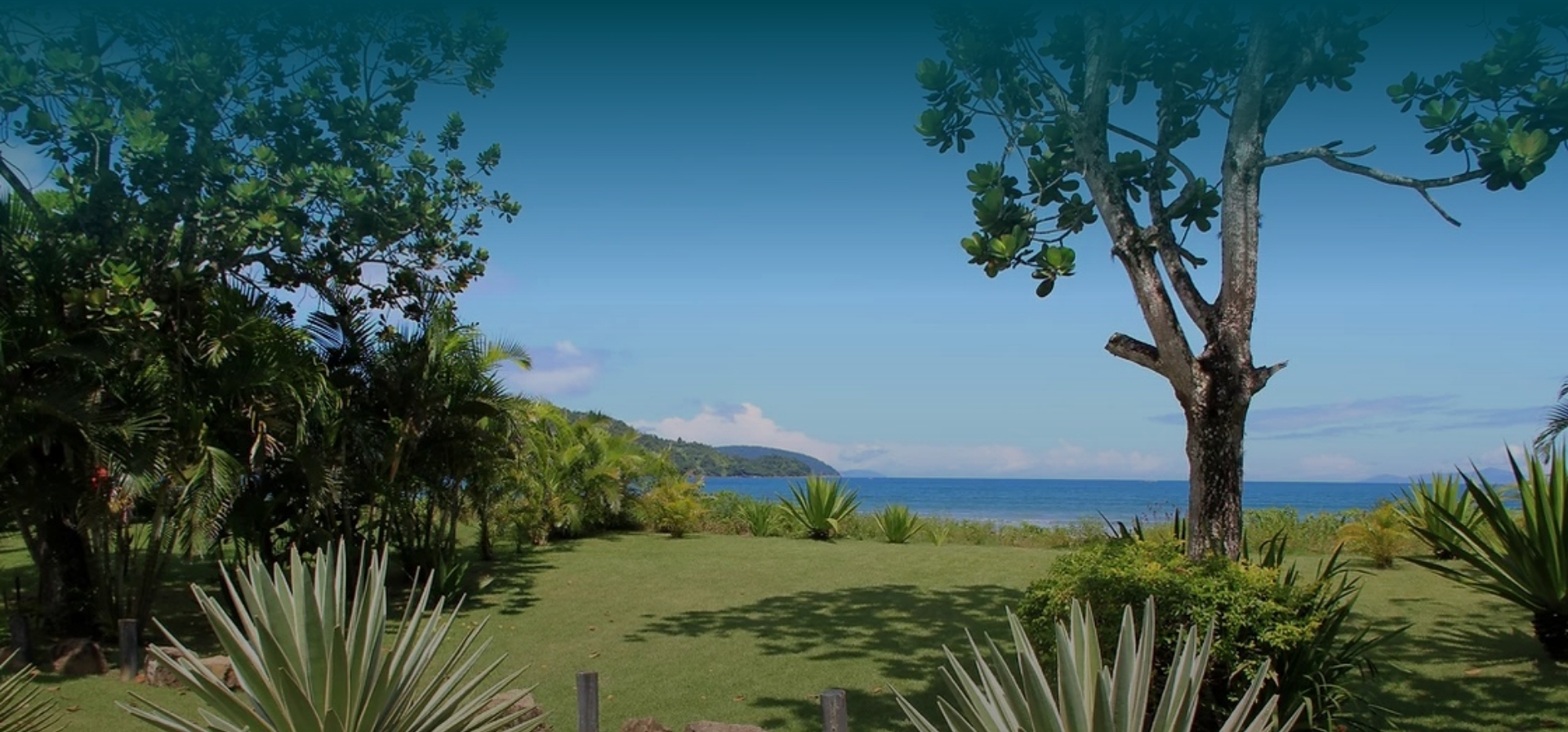 Banners do Yabadabatuba